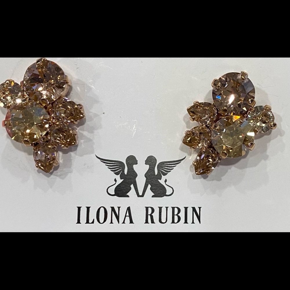 Ilona Rubin Cluster Pierced Rhinestone Earrings